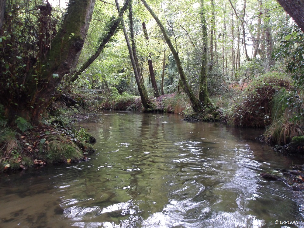 Qualité des cours d'eau