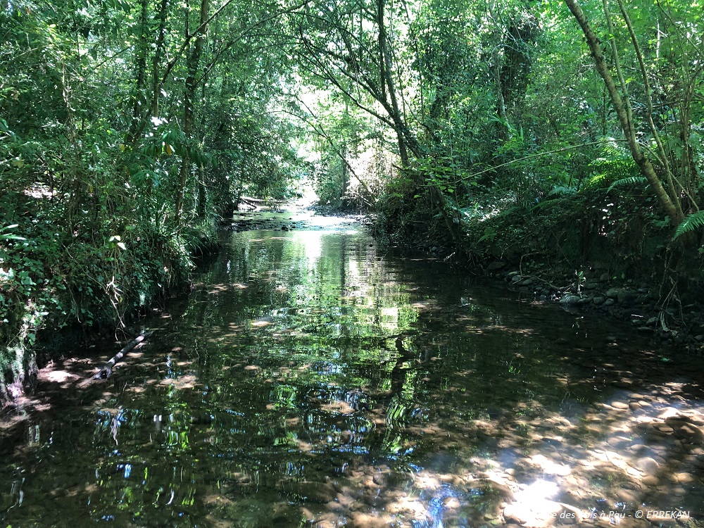 l'Ousse des Bois à Pau