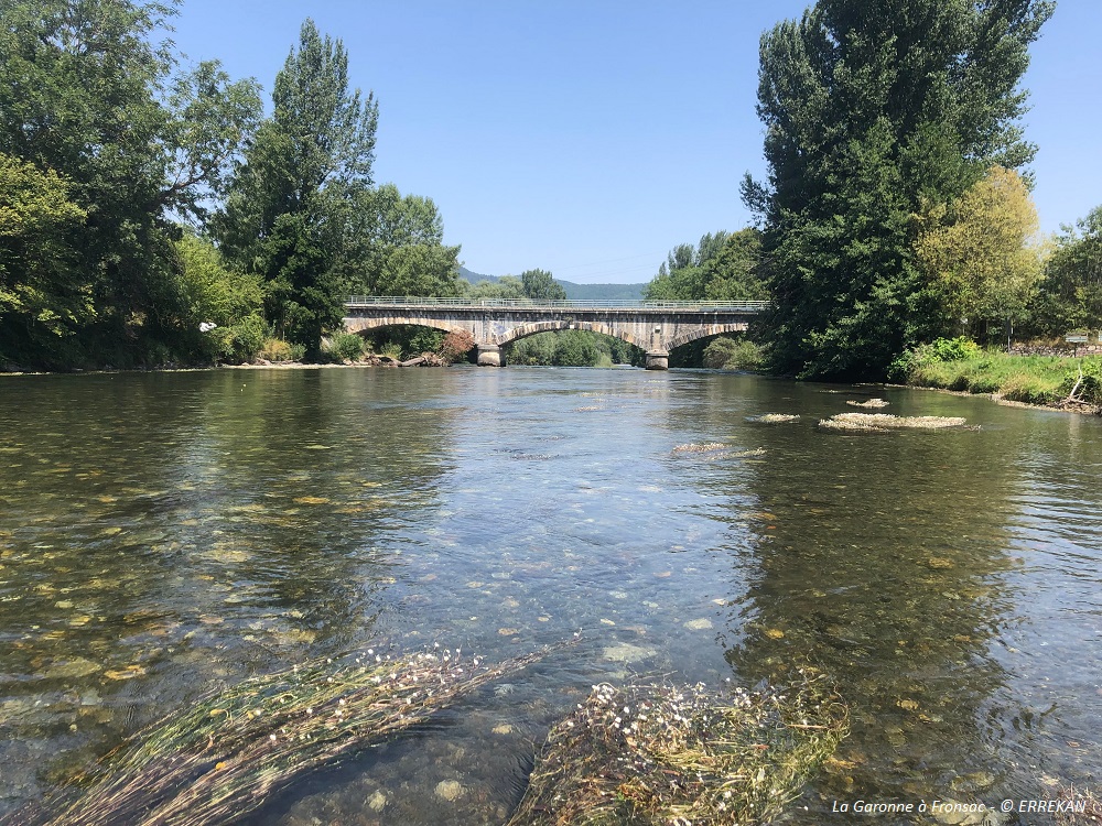 la Garonne à Fronsac